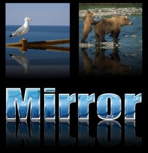 Mirror 01 Copy